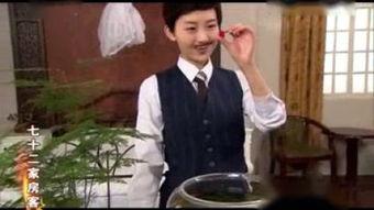 七十二家房客第十四部,风云变幻，命运交织的悲欢离合