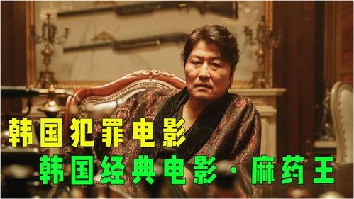 麻药王,揭秘麻醉药物的传奇故事与医学革命